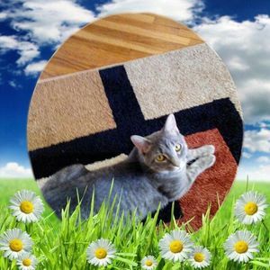 Meet your Posher, Heidi